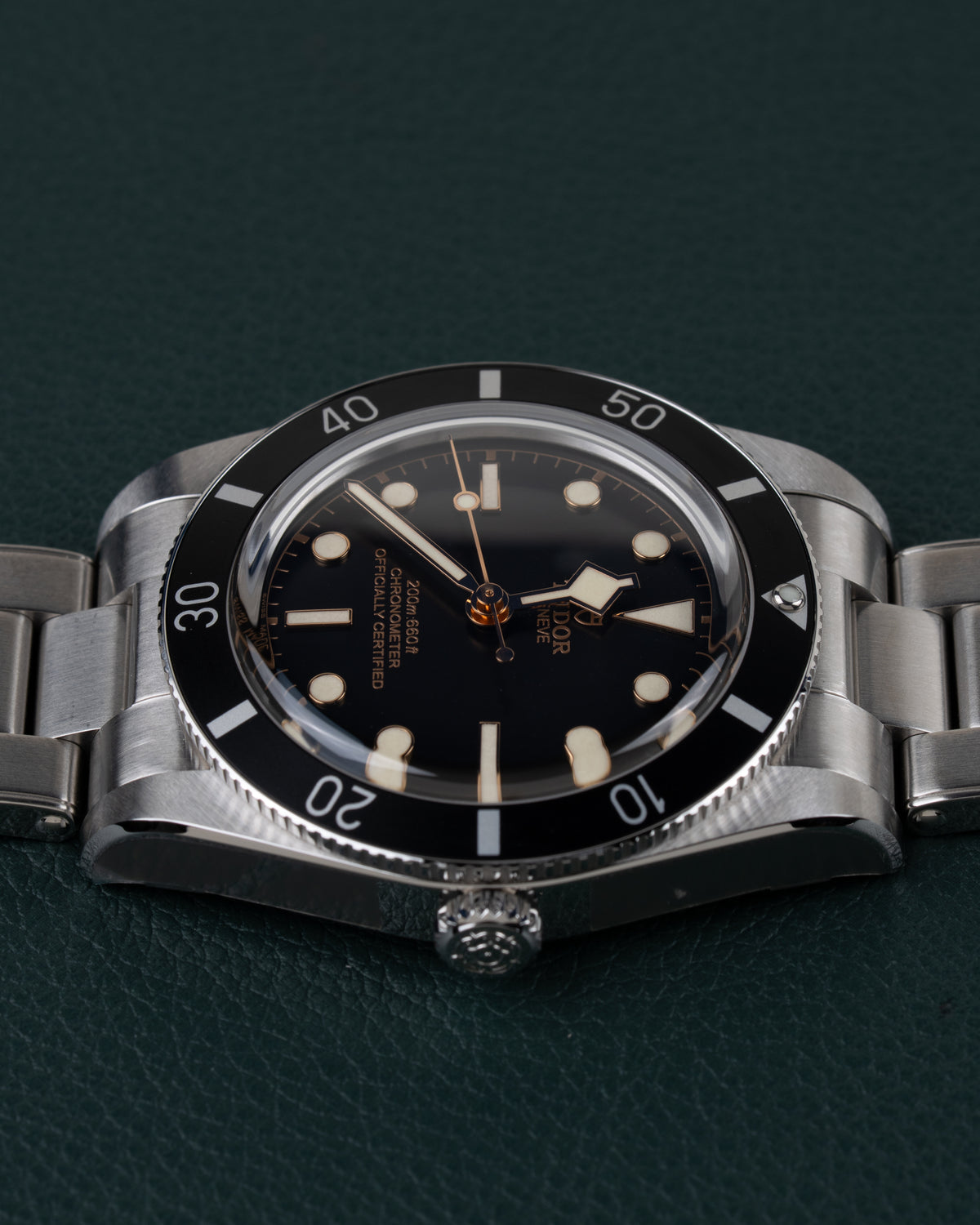 Tudor Black Bay 54 M79000N-0001 - Ondersteboven aanzicht met de kroon onderaan de kast